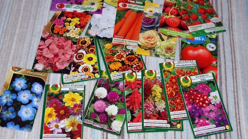 15 цветочных культур, которые нужно посеять на рассаду в апреле для успешного цветения