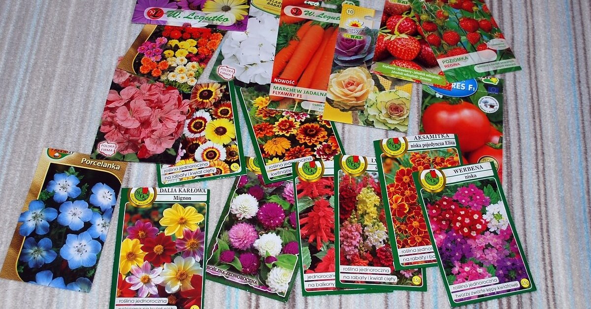 15 цветочных культур, которые нужно посеять на рассаду в апреле для успешного цветения